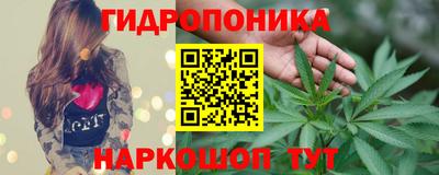 бошки Заводоуковск