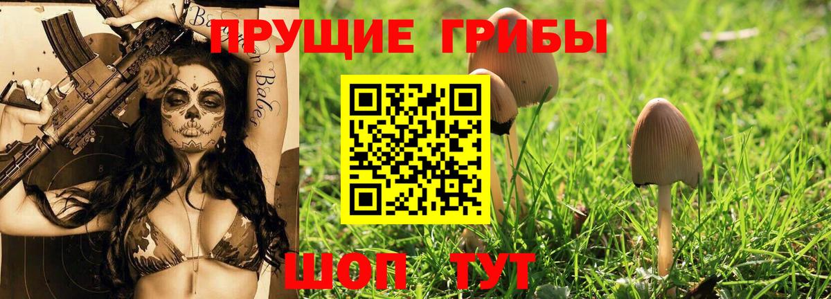 Псилоцибиновые грибы мухоморы  Вход с VPN  купить   Медногорск 